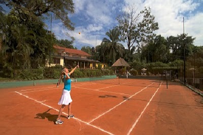 Ladies tenis